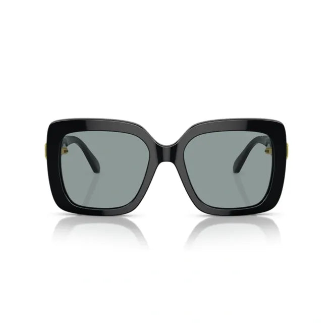 Óculos de sol Swarovski 0SK6001 1001/155 — vista frontal