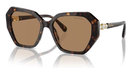 Swarovski SK6017 1002M4 56 — Havana escuro e lentes marrons