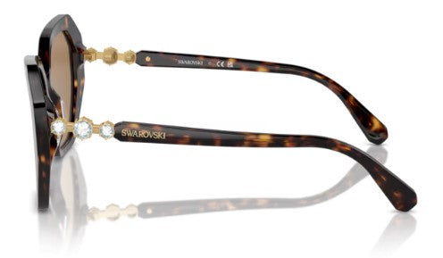 Swarovski SK6017 1002M4 56 — vista frontal, Havana escuro e lentes marrons