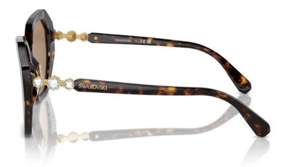 Swarovski SK6017 1002M4 56 — vista frontal, Havana escuro e lentes marrons