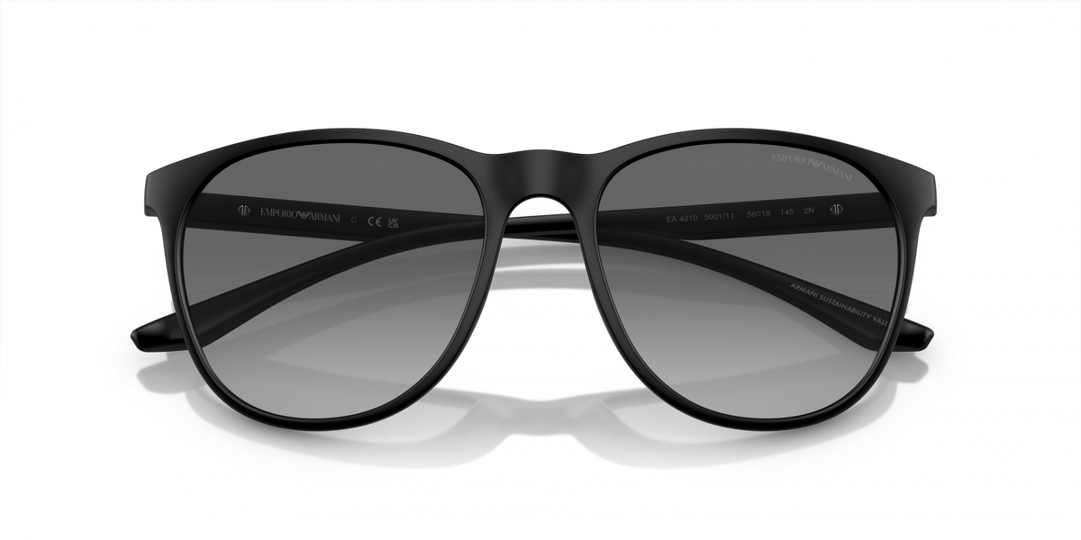 Emporio Armani 0EA4210 50011156 vista frontal