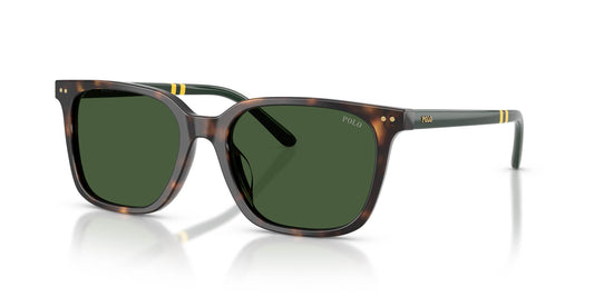 Óculos de sol POLO RALPH LAUREN PH4235U 50037154 quadrado tartaruga com lentes verdes