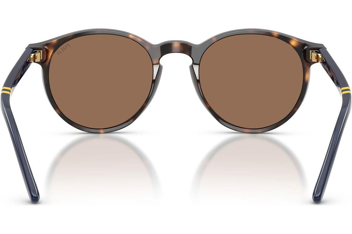 Óculos de sol POLO RALPH LAUREN PH4236 50037350 redondo Havana escuro com lentes marrons
