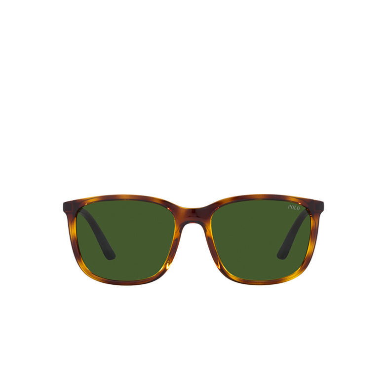 Óculos de sol POLO RALPH LAUREN PH4185U 50037156 quadrado Havana brilhante com lentes verdes
