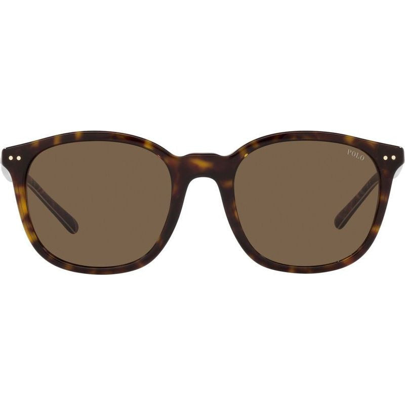 POLO RALPH LAUREN PH4188 50037353 óculos de sol quadrado Havana escuro vista frontal