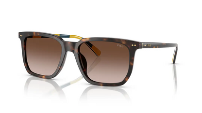 POLO RALPH LAUREN PH4224U 50031355 óculos de sol quadrado Havana escuro vista frontal