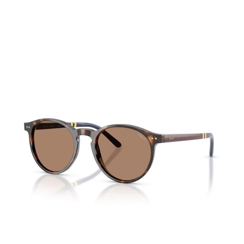 Vista inclinada do óculos de sol POLO RALPH LAUREN PH4236 50037350 redondo Havana escuro com lentes marrons